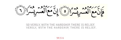 wanikhuzaidi's profile banner image