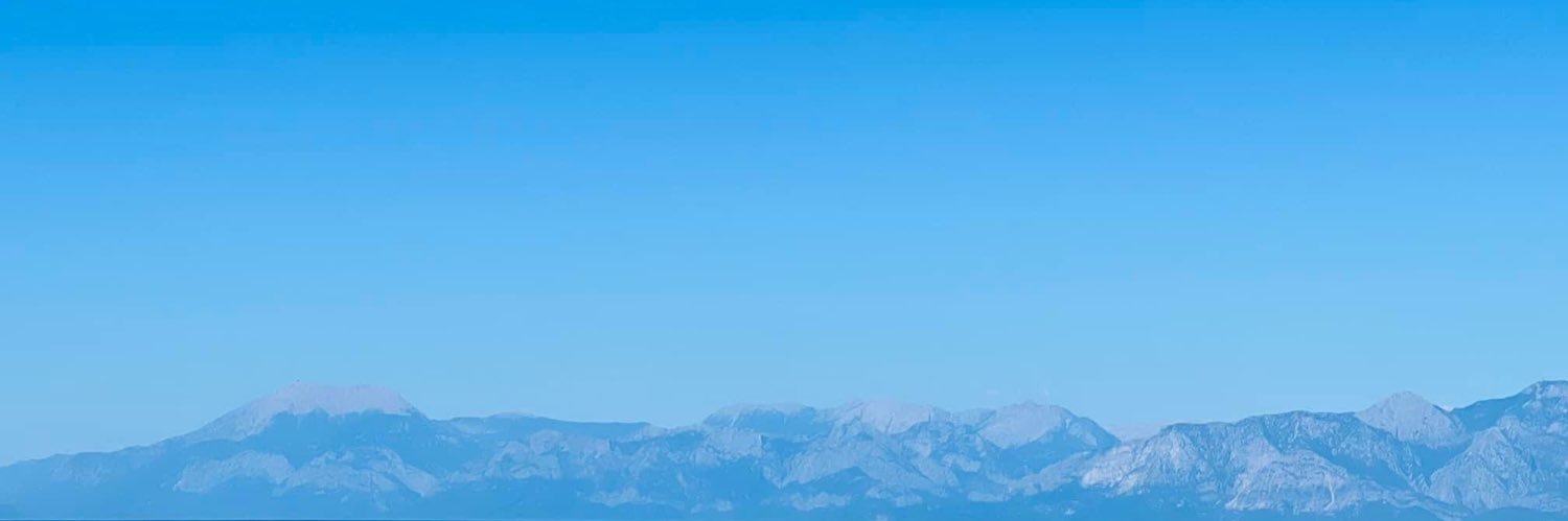 CockapooAngel's profile banner image