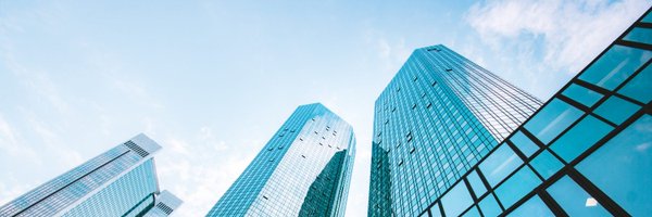 BizReport Profile Banner