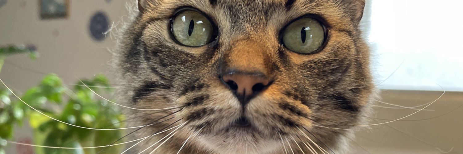 ForesBoo's profile banner image
