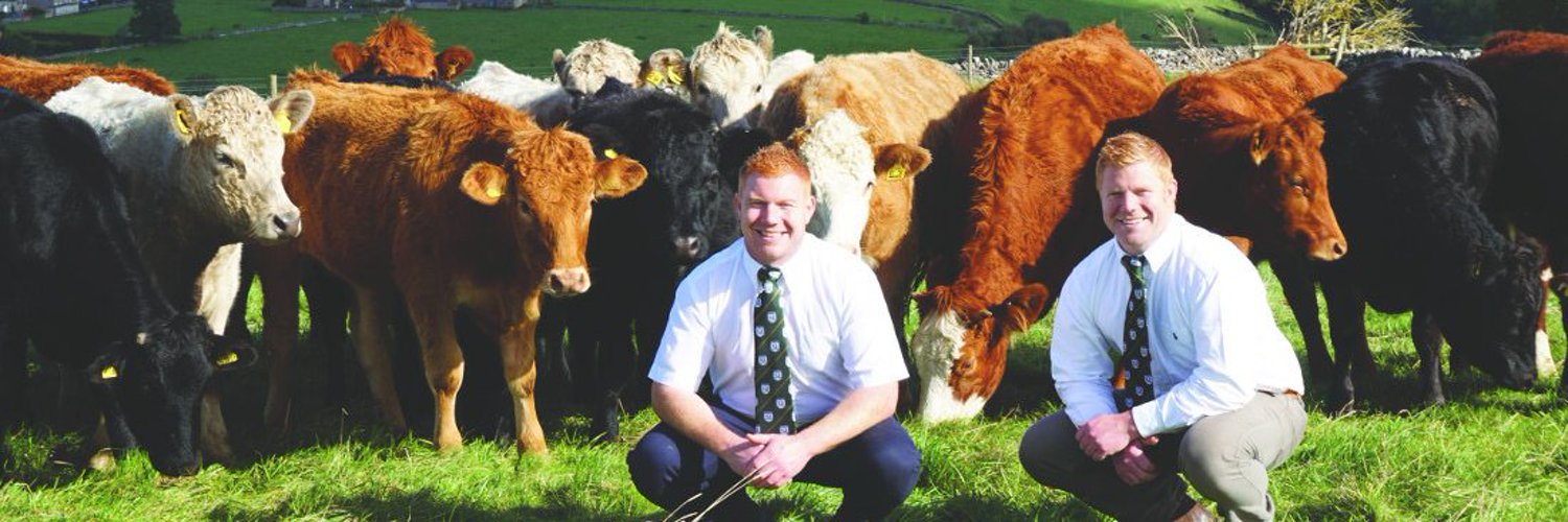 Ginger Butchers Profile Banner