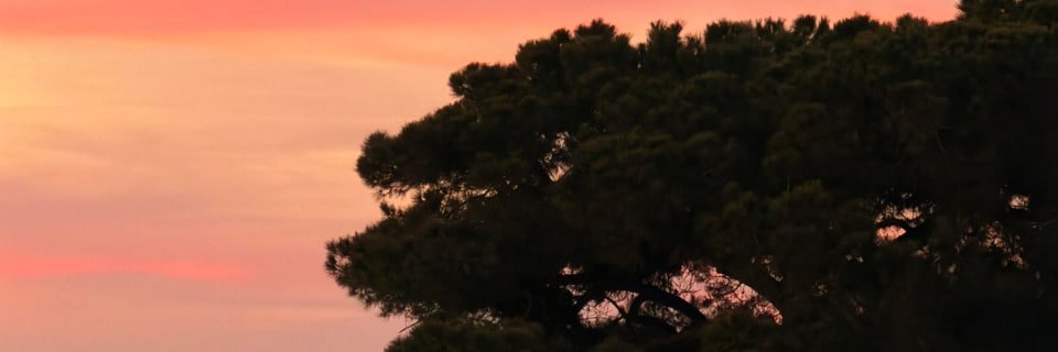 JenniferDajf's profile banner image