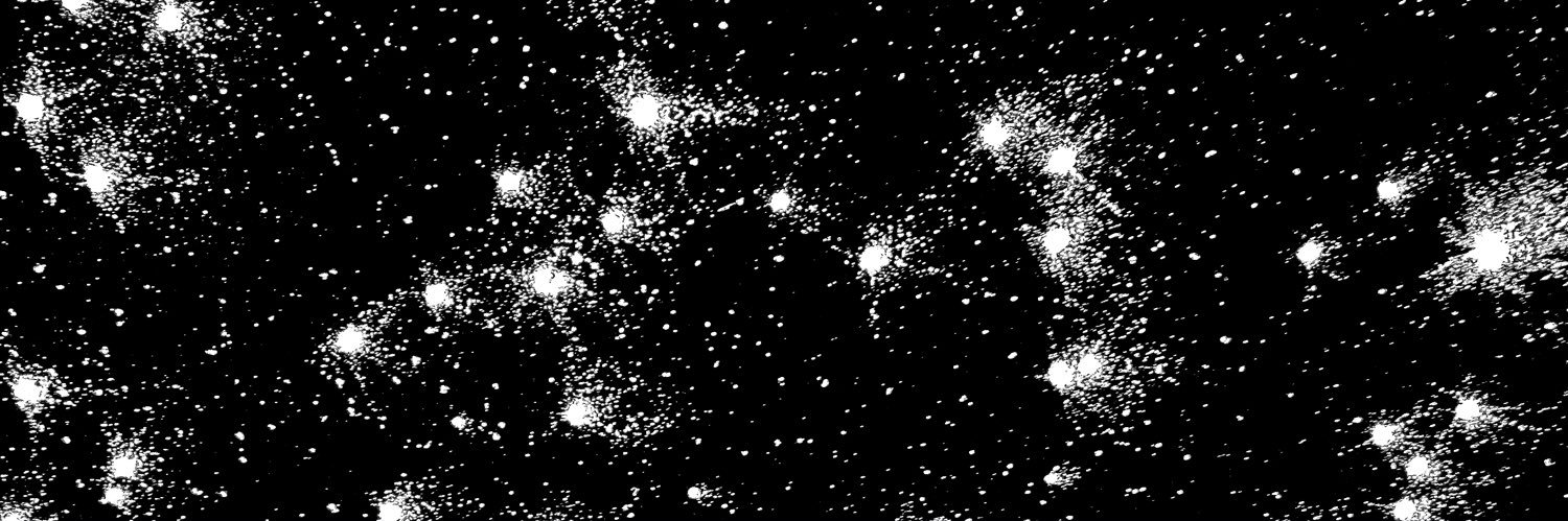 l banner