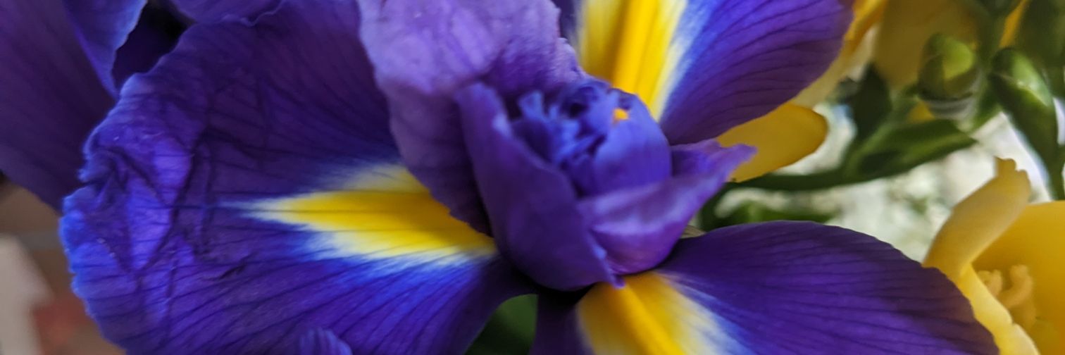 spanglemcqueen 🖤🐈‍⬛🖤 banner