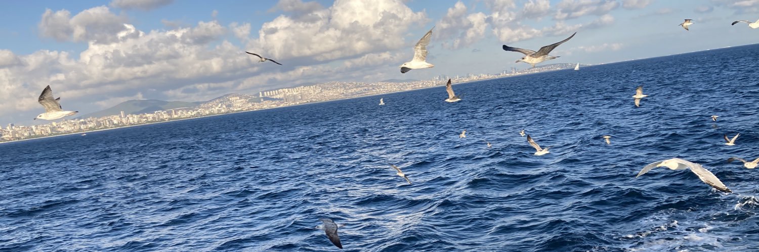 ALTUNayhan36's profile banner image