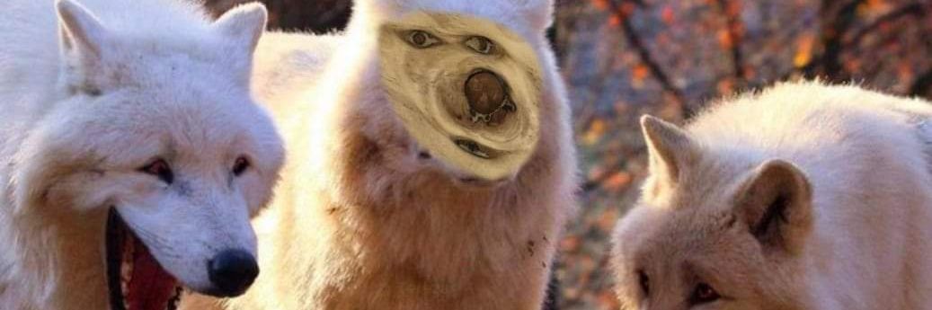 NahitFun's profile banner image