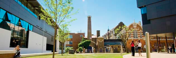 SCasalotti Profile Banner