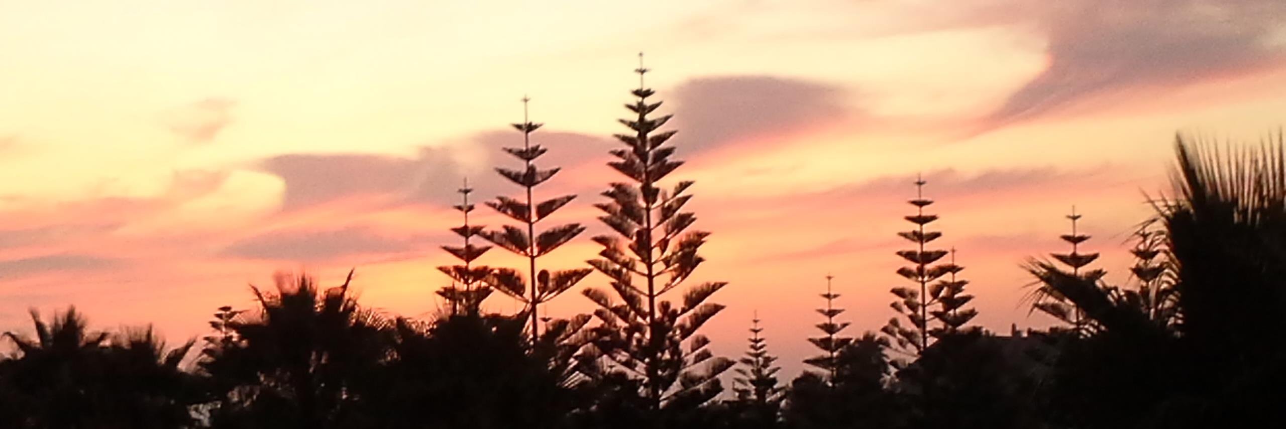 Eduardo Florido banner