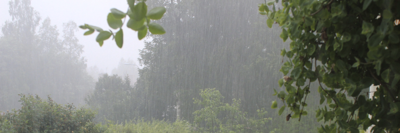 seasonsliam's profile banner image