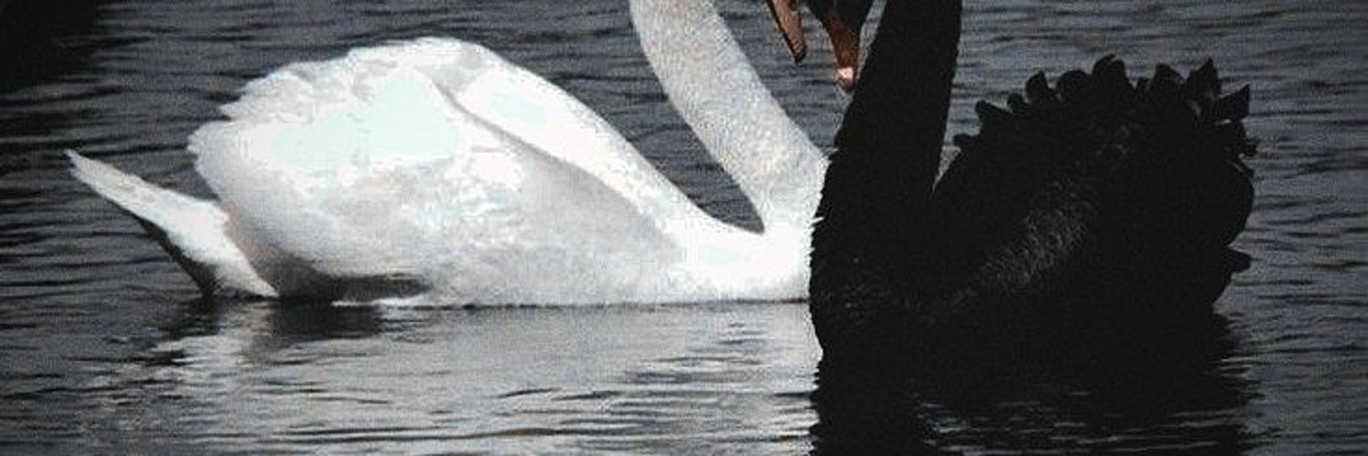 Withered Rose banner