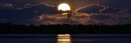 LuvForReedus's profile banner image