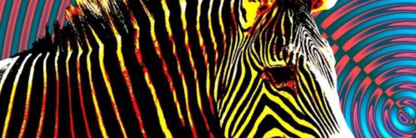 Zebra Muscles banner