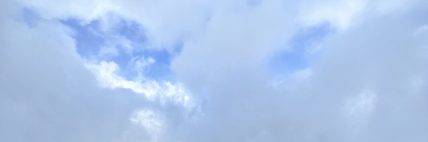 Vishwas Basotra banner
