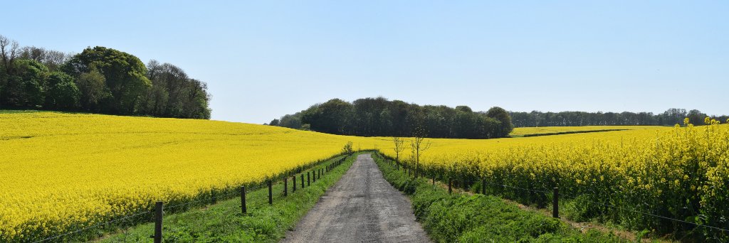 JoeNRussell's profile banner image