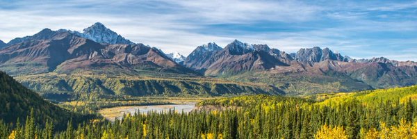 jinwei_ye Profile Banner