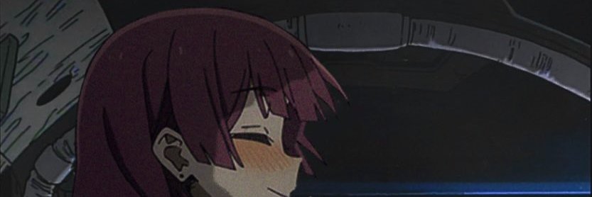 nikuii's banner
