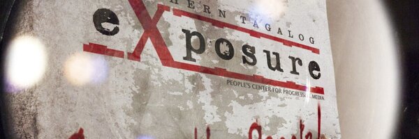 steXposure Profile Banner
