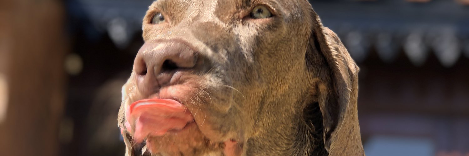 GPisinatti's profile banner image