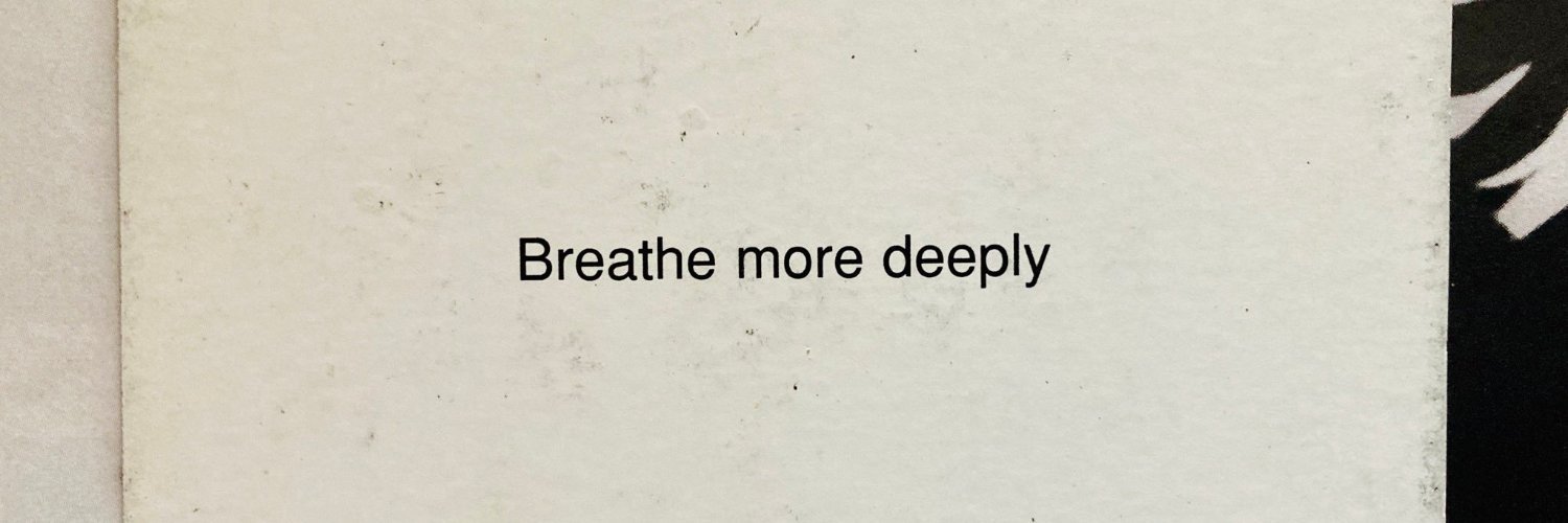 ｓｅａｂｒｅ banner