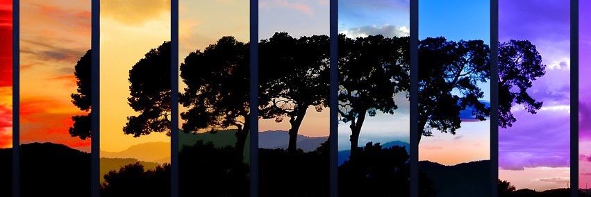 Mell_cec's profile banner image