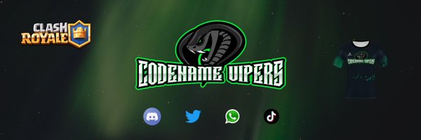 CodenameVipers Profile Banner