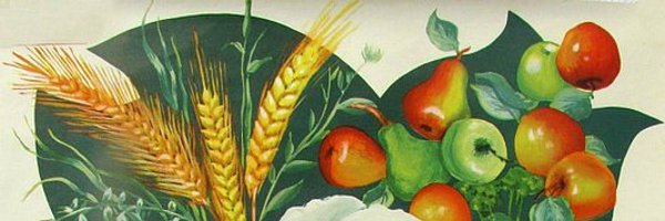 nicodemvs Profile Banner