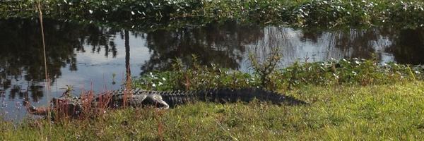 davebrownradio Profile Banner