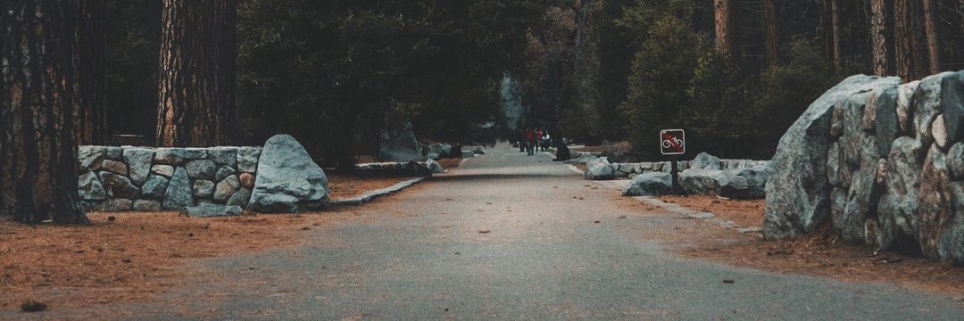 AmySheerin95's profile banner image
