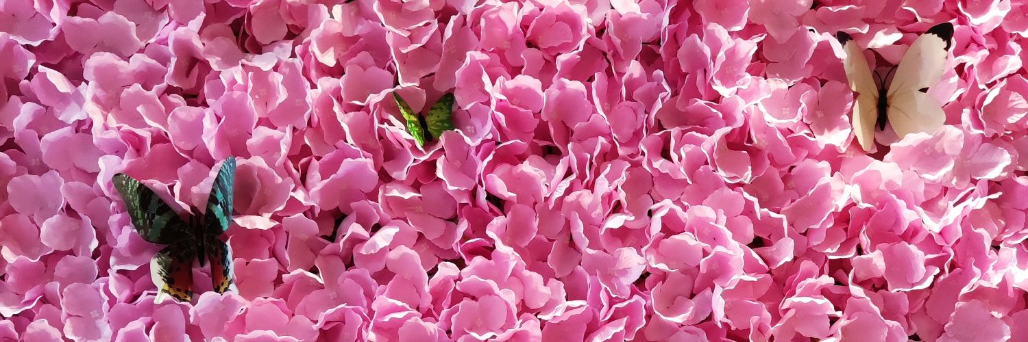 anna_sc11's profile banner image