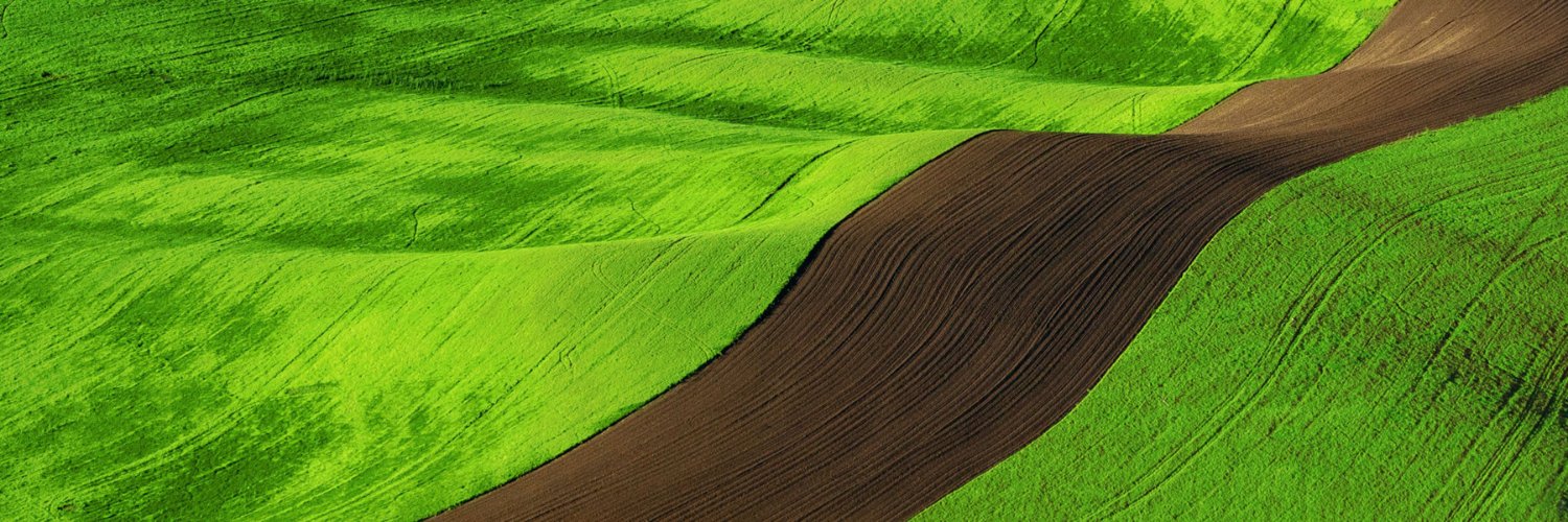 Luis Pedro Freitas | ETHGas ⛽ banner