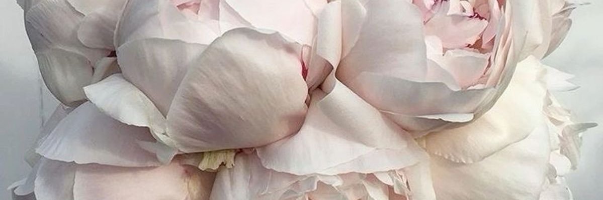 occultvanille's profile banner image