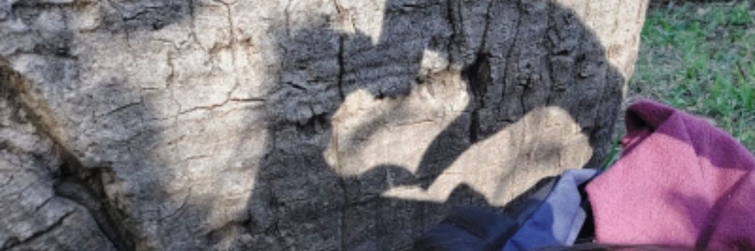 jjmicq's profile banner image