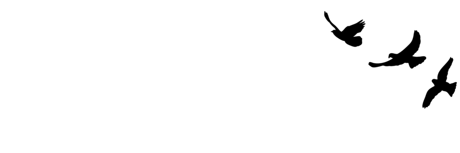❝ 𝙻͟𝙾͟𝚅͟𝙴͟𝚂͟𝚃͟𝚁͟𝚄͟𝙲͟𝙺。's banner