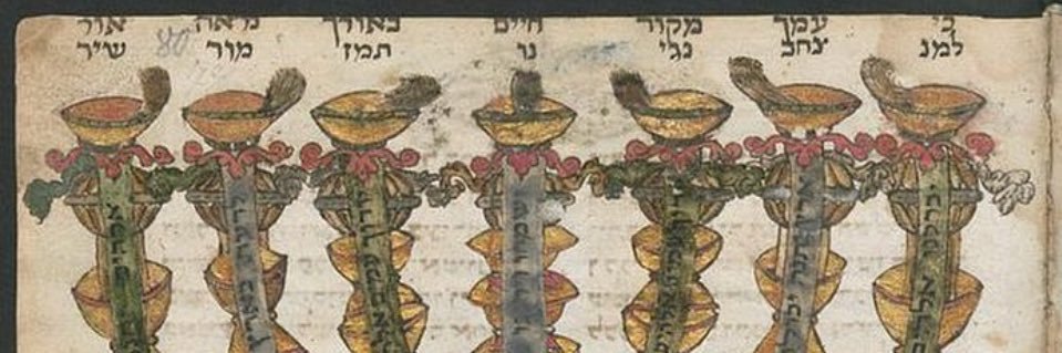 Aurel Jamilov ת.א. שכויאב אבר׳אל banner