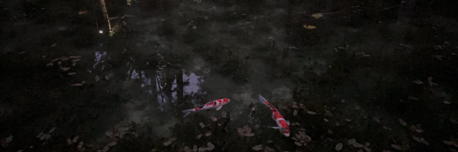 SmallSea006's profile banner image