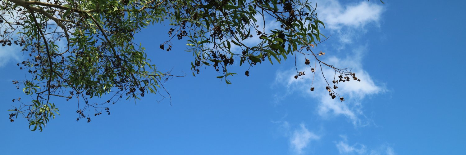 muammarkyd's profile banner image