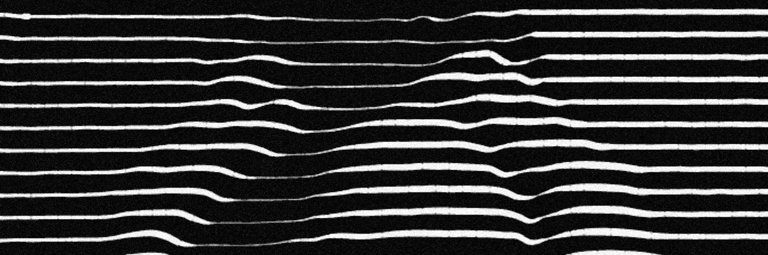 xavitribo's profile banner image