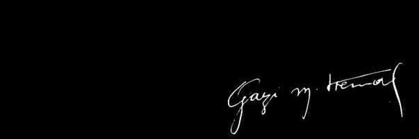 sevgiipekk's profile banner image