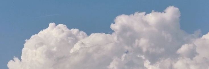 PY. banner