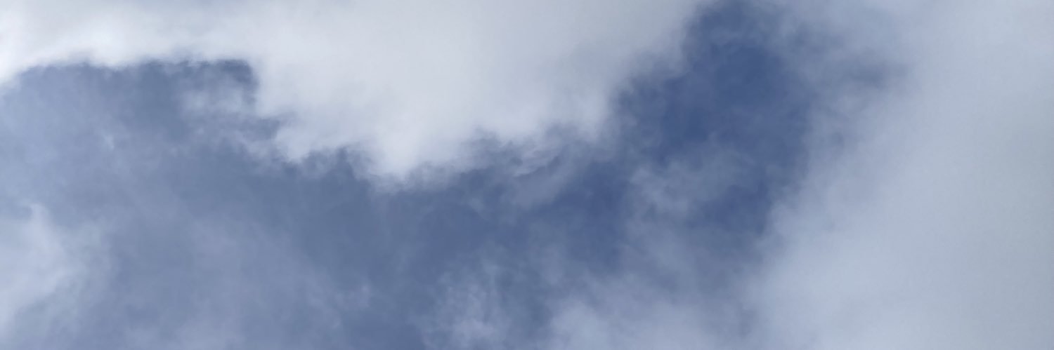 may_9_lily's profile banner image