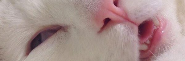 sayangmu 😘 banner