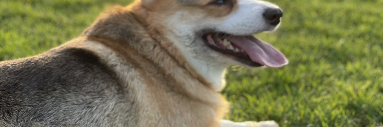 darrenplt's profile banner image