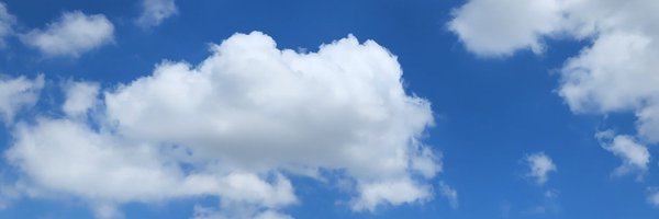 puvisty Profile Banner