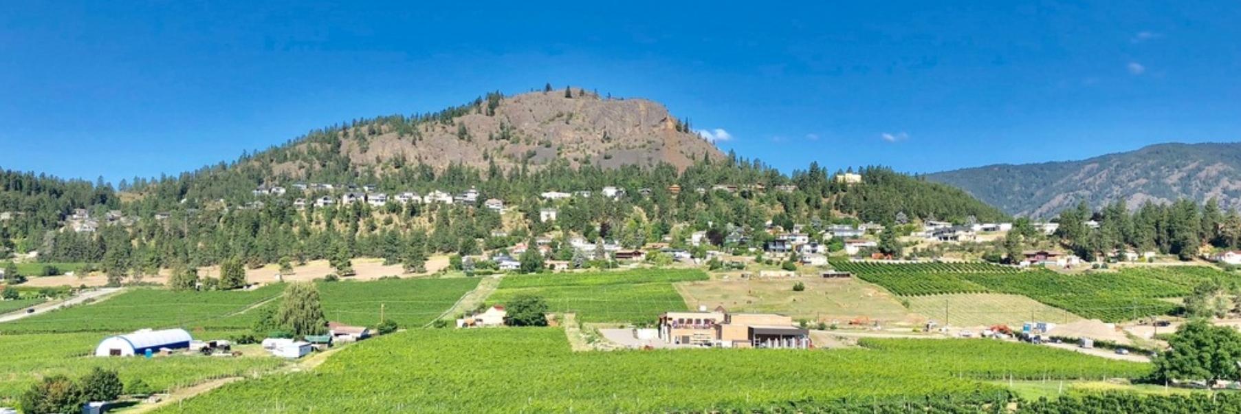 Wesla English banner