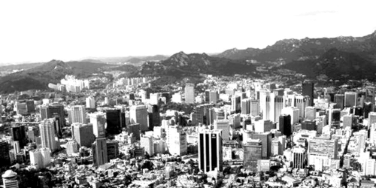jiyeondented's profile banner image
