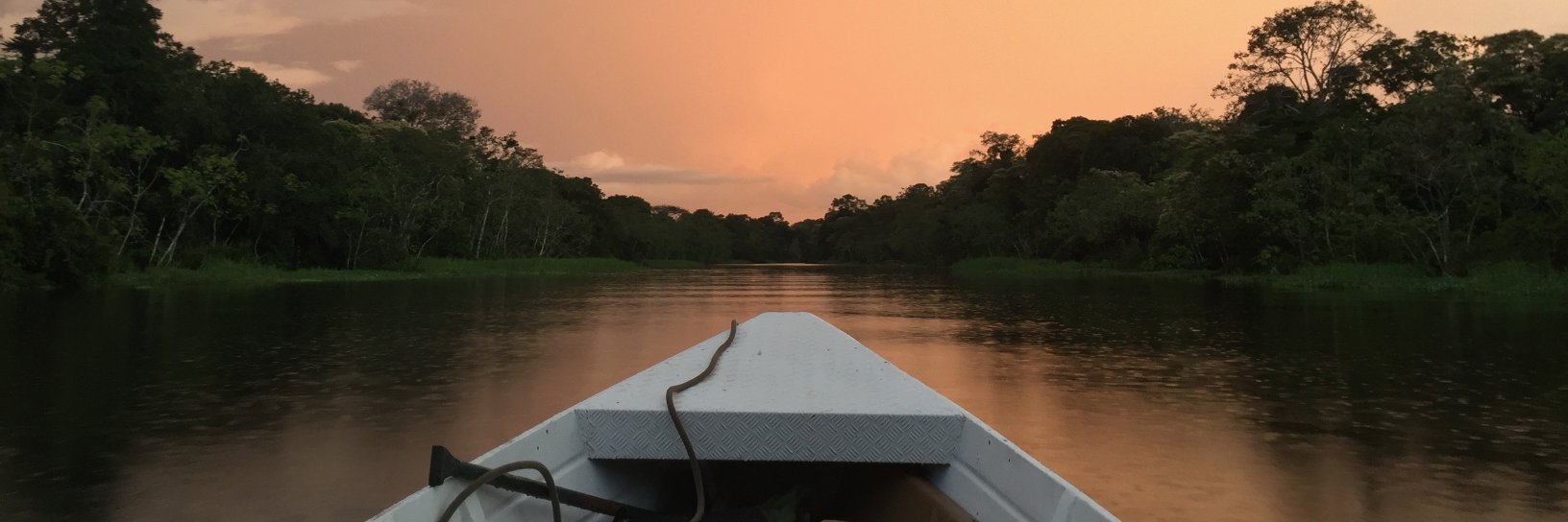 Isabel Fletcher banner