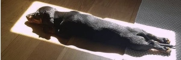 Mujer_Navarra Profile Banner