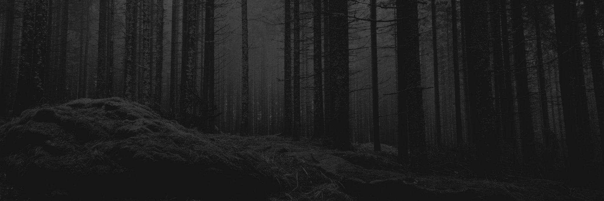 dwalk22's profile banner image