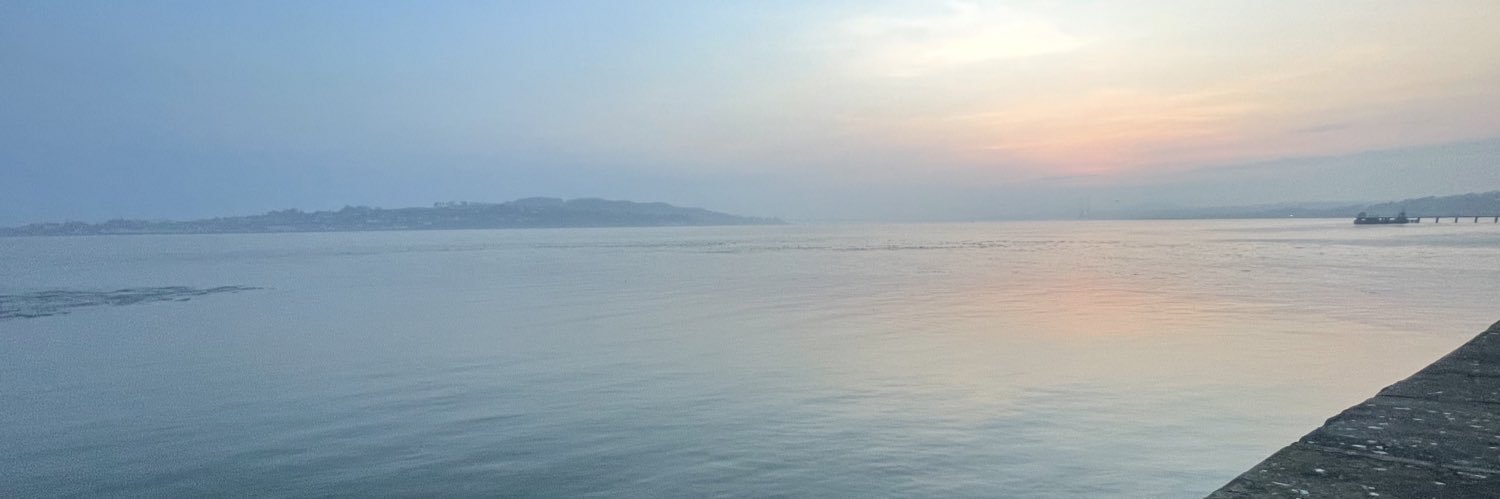 Niamhsharp's profile banner image