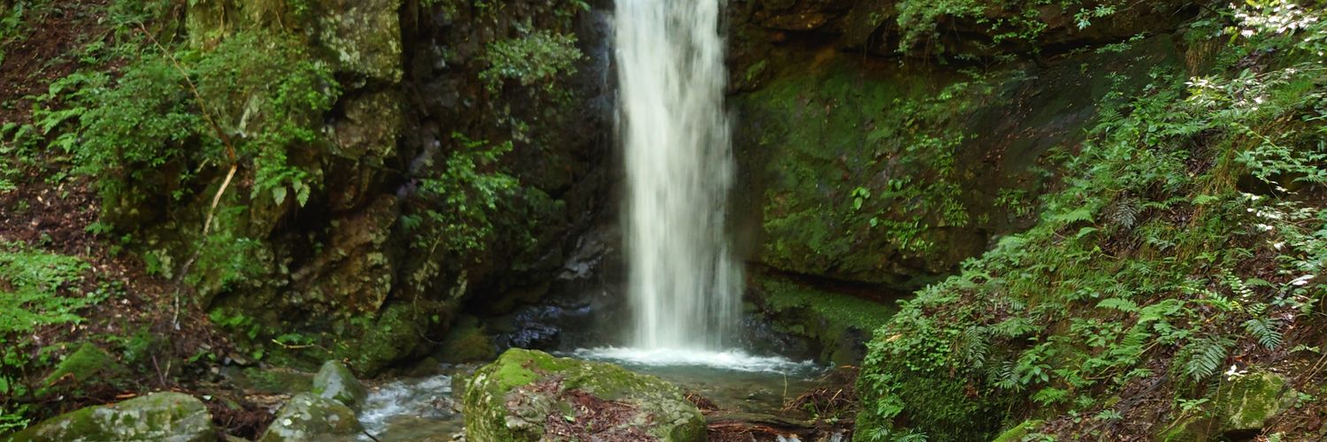 犬飼孝平@トイレ掃除Man🚽 banner